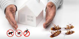 Cockroach Pest Control Services in Mysore