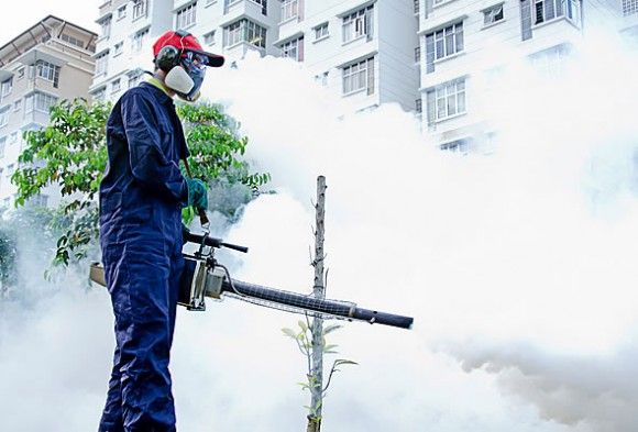 Mosquito Pest Control Services in Bangalore