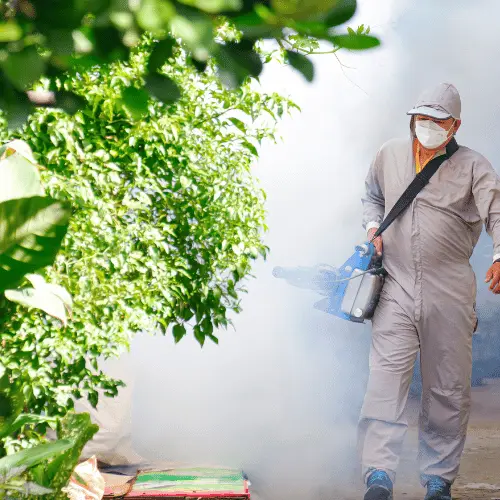 Fumigation Services in Ranjangaon