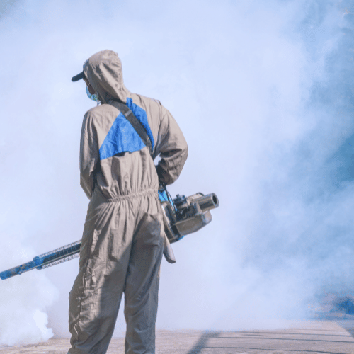 Fumigation Services in Chakan