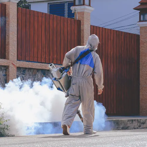 Fumigation Services in Talegaon